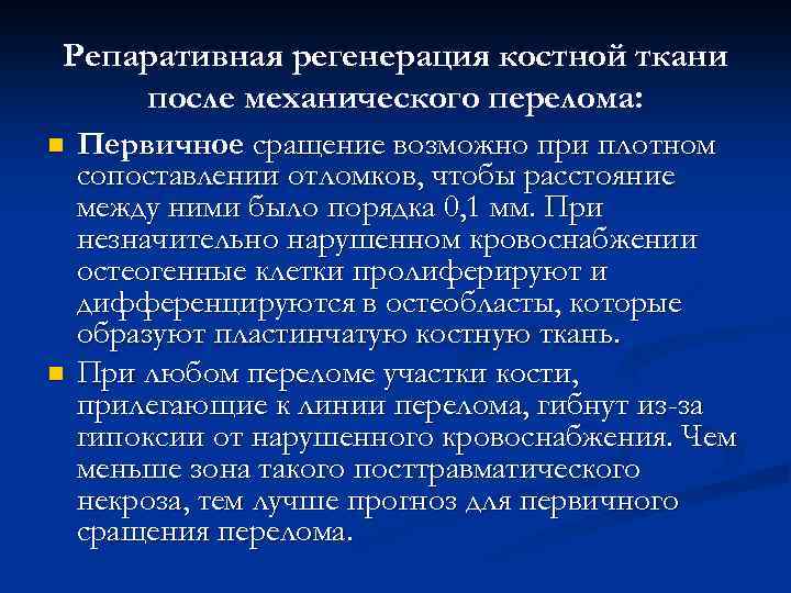 Репаративная регенерация костной ткани после механического перелома: n n Первичное сращение возможно при плотном