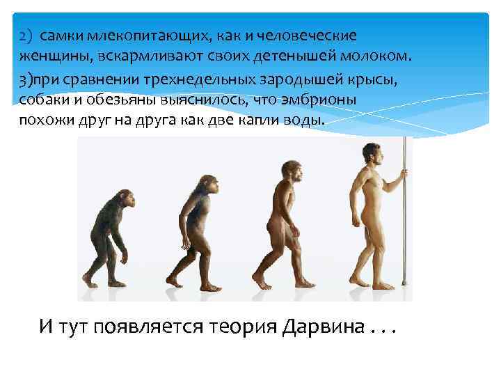 2) самки млекопитающих, как и человеческие женщины, вскармливают своих детенышей молоком. 3)при сравнении трехнедельных