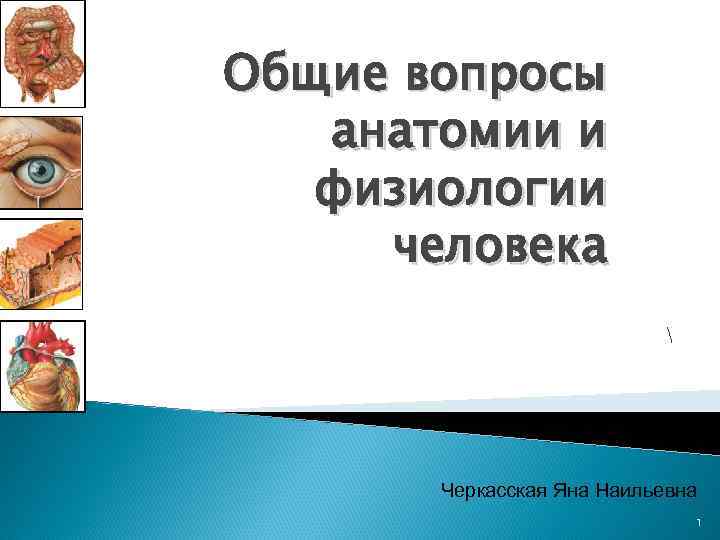 Общие вопросы анатомии и физиологии человека  Черкасская Яна Наильевна 1 