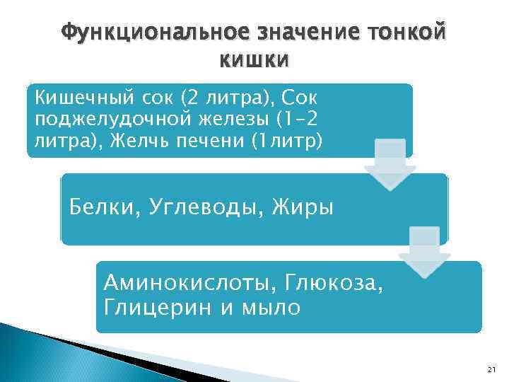 Функциональное значение тонкой кишки Кишечный сок (2 литра), Сок поджелудочной железы (1 -2 литра),