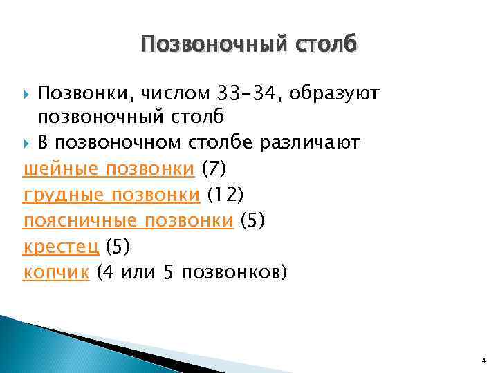 Позвоночный столб Позвонки, числом 33 -34, образуют позвоночный столб В позвоночном столбе различают шейные