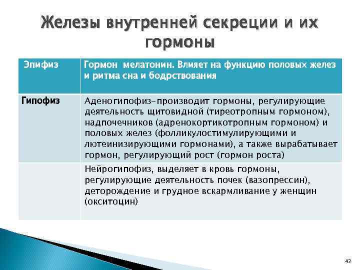 Железы внутренней секреции и их гормоны Эпифиз Гормон мелатонин. Влияет на функцию половых желез