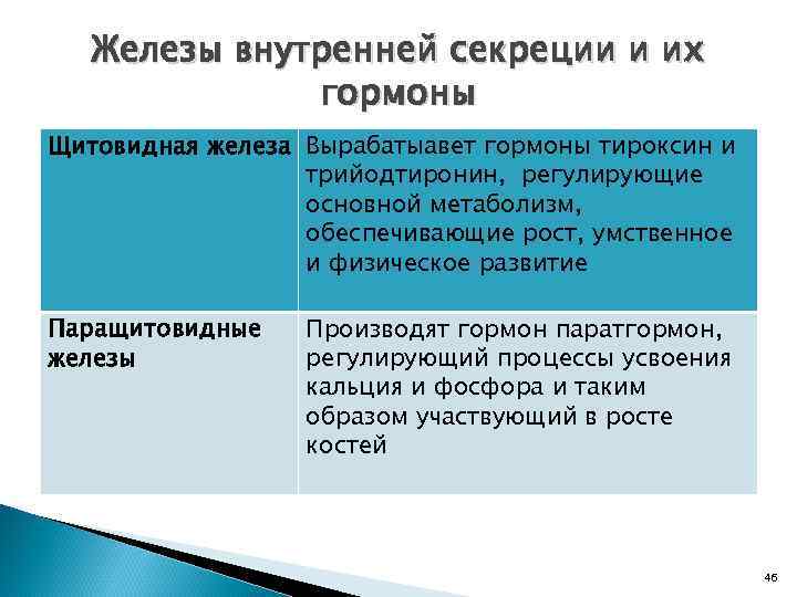 Железы внутренней секреции и их гормоны Щитовидная железа Вырабатыавет гормоны тироксин и трийодтиронин, регулирующие