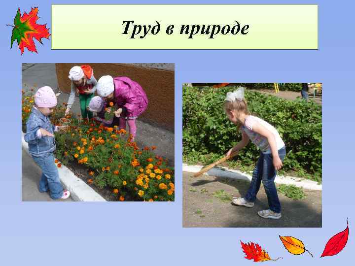 Труд в природе 