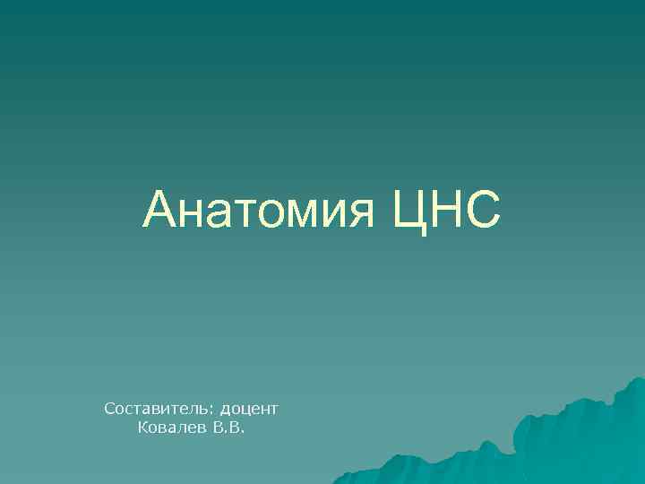 Анатомия ЦНС Составитель: доцент Ковалев В. В. 