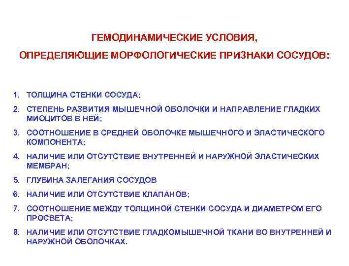 ГЕМОДИНАМИЧЕСКИЕ УСЛОВИЯ, ОПРЕДЕЛЯЮЩИЕ МОРФОЛОГИЧЕСКИЕ ПРИЗНАКИ СОСУДОВ: 1. ТОЛЩИНА СТЕНКИ СОСУДА; 2. СТЕПЕНЬ РАЗВИТИЯ МЫШЕЧНОЙ