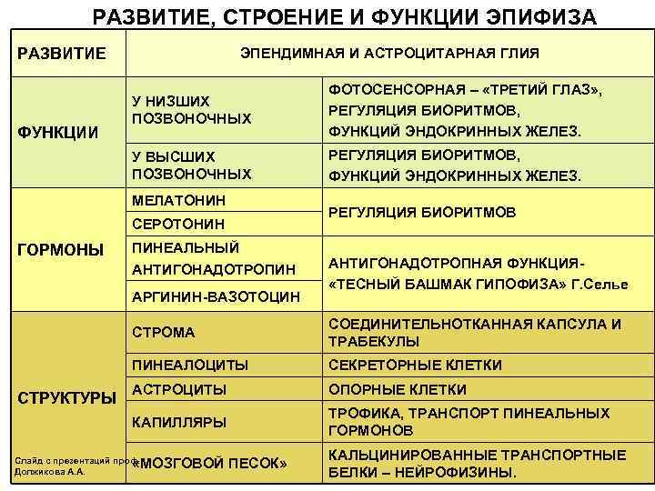 РАЗВИТИЕ, СТРОЕНИЕ И ФУНКЦИИ ЭПИФИЗА РАЗВИТИЕ ЭПЕНДИМНАЯ И АСТРОЦИТАРНАЯ ГЛИЯ У ВЫСШИХ ПОЗВОНОЧНЫХ ФУНКЦИИ