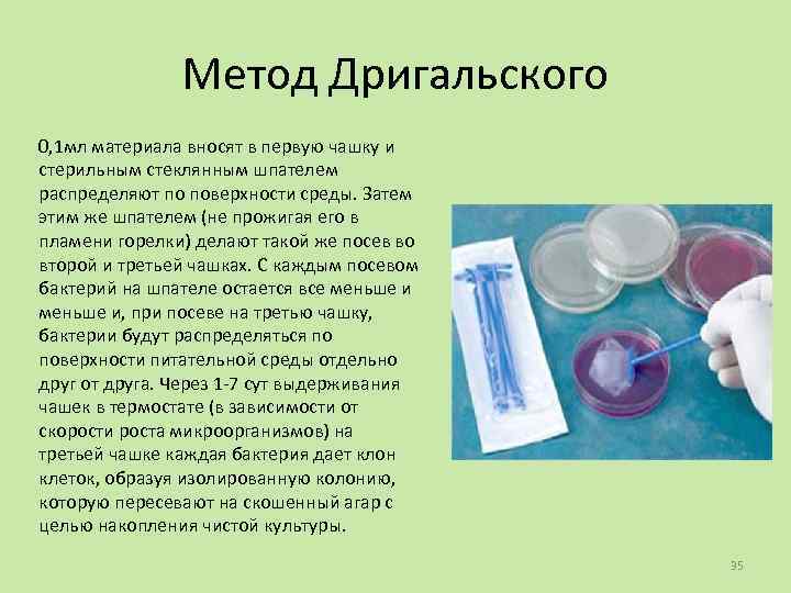 Метод Дригальского 0, 1 мл материала вносят в первую чашку и стерильным стеклянным шпателем