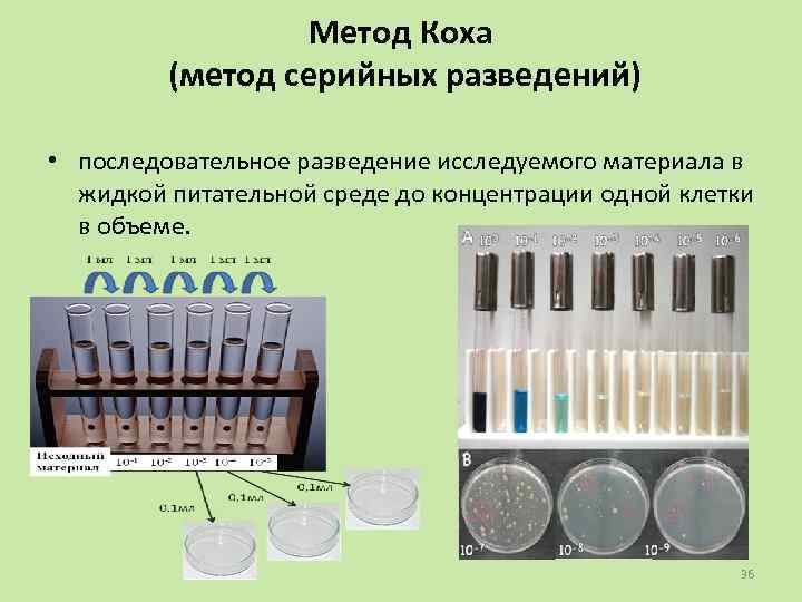 Метод Коха (метод серийных разведений) • последовательное разведение исследуемого материала в жидкой питательной среде