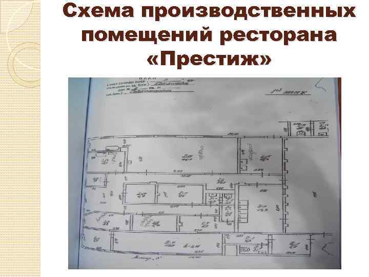 Схема производственных помещений ресторана «Престиж» 