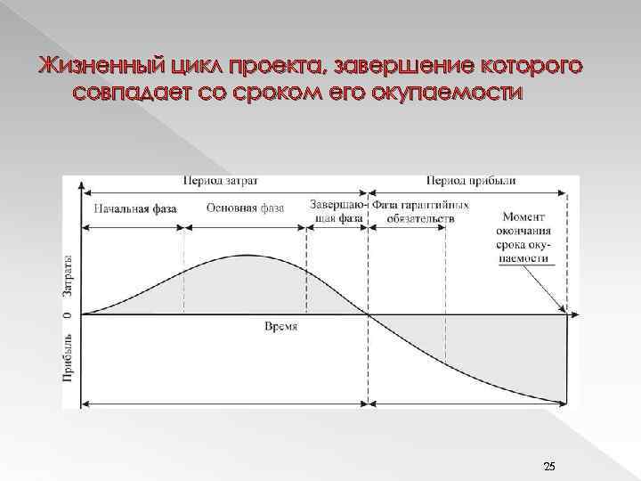 Жизненный цикл проекта, завершение которого совпадает со сроком его окупаемости 25 