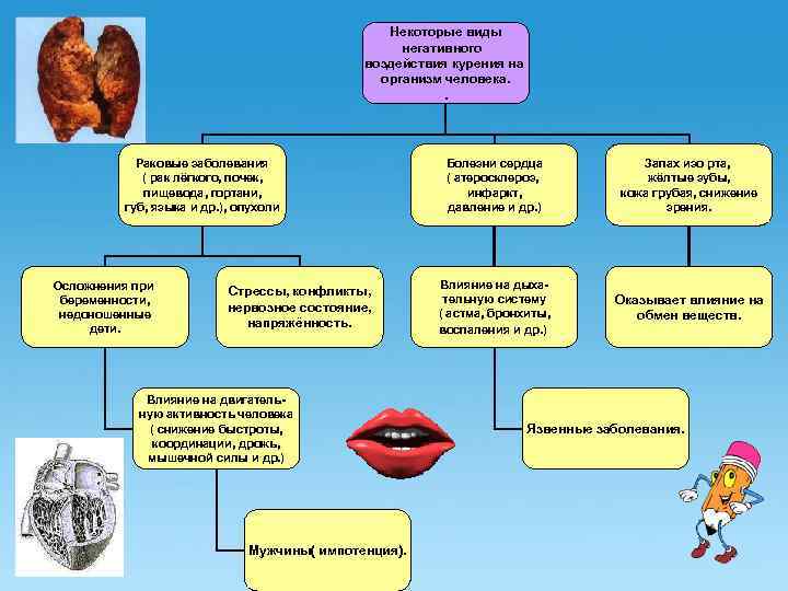 Некоторые виды негативного воздействия курения на организм человека. . Раковые заболевания ( рак лёгкого,