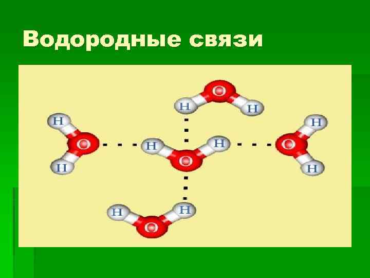 В цепи водородные связи