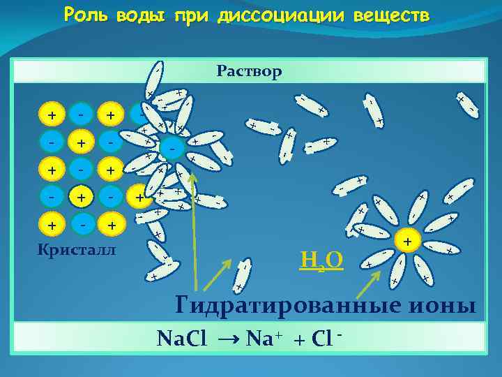 Роль воды при диссоциации веществ + + + - + - - - +