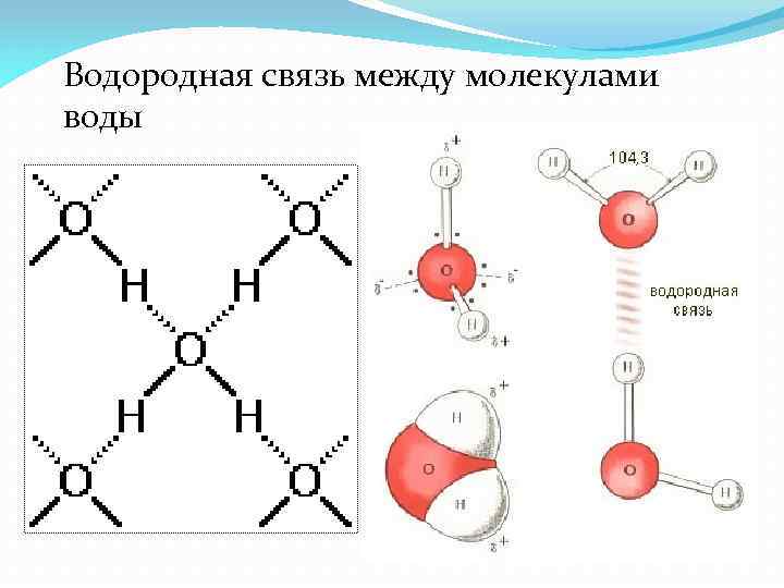 Наличие водородной связи между молекулами
