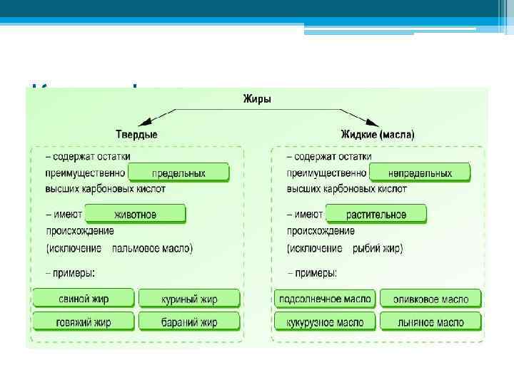 Классификация жиров 