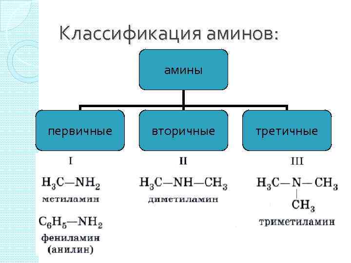 План конспект амины