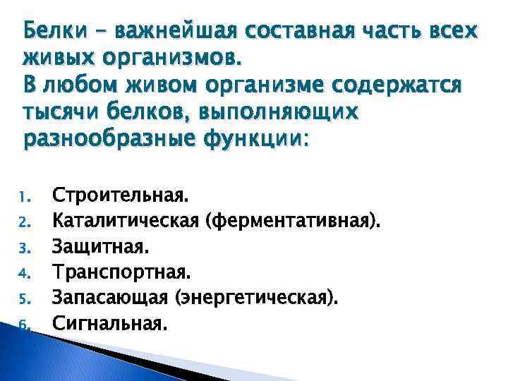 Белки – важнейшая составная часть всех живых организмов. В любом живом организме содержатся тысячи