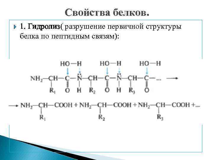 Зависимость биологических свойств белков от первичной структуры