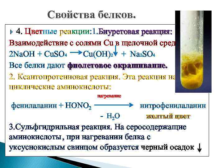 Свойства белков. 4. Цветные реакции: 1. Биуретовая реакция: Взаимодействие с солями Cu в щелочной