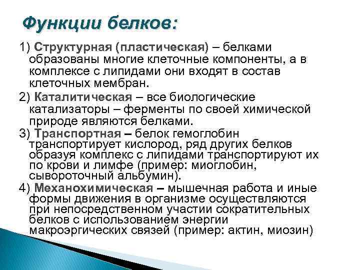 Функции белков: 1) Структурная (пластическая) – белками образованы многие клеточные компоненты, а в комплексе