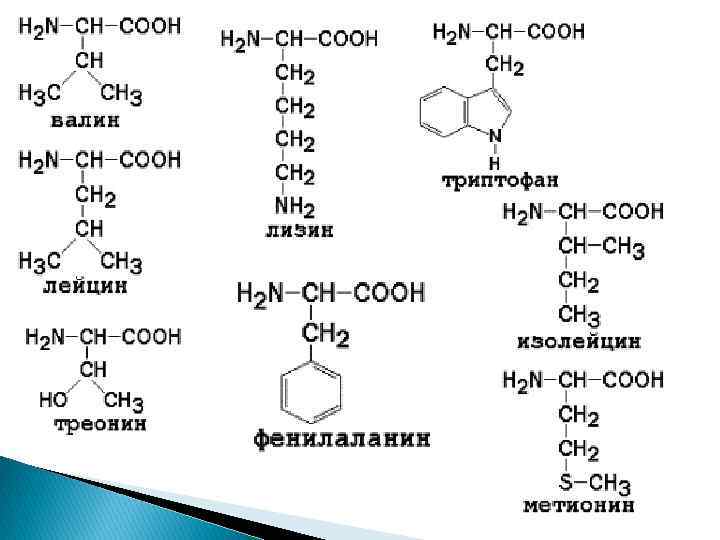 Триптофан метионин. Валин+треонин+триптофан. Лизин Валин треонин. Трипептид вал лизин метионин. Трипептид триптофан метионин Валин.