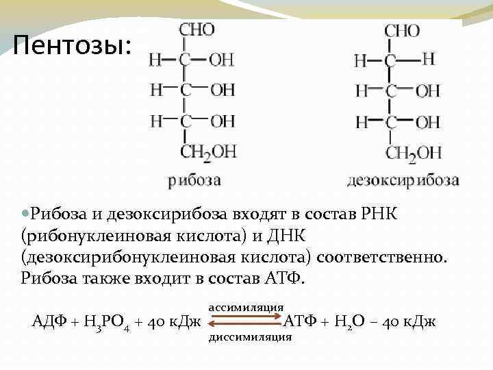 Рибоза входит в состав. Рибоза h3po4. АТФ + Д-рибоза. Дезоксирибоза класс органических веществ. Дезоксирибоза к какому классу органических соединений относится.