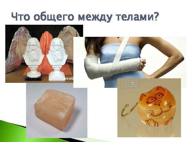 Что общего между телами? 