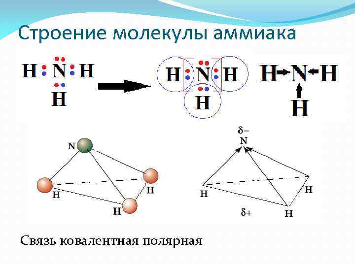 Строение молекулы аммиака NH 3: Связь ковалентная полярная 