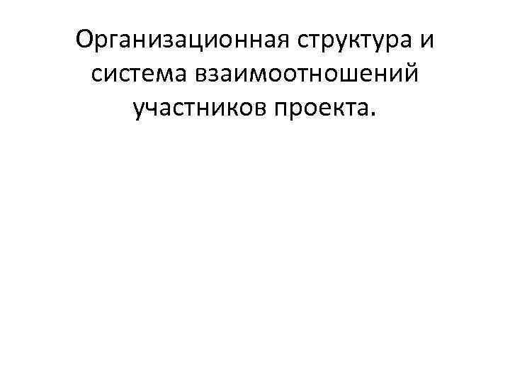 Организационная структура и система взаимоотношений участников проекта. 