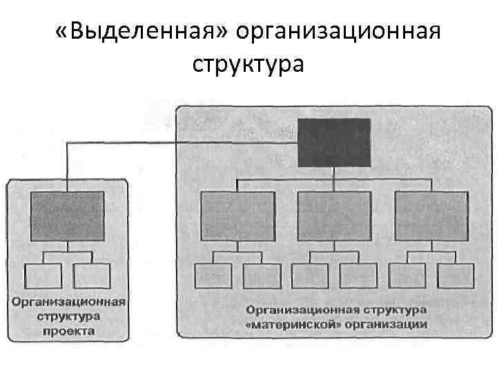  «Выделенная» организационная структура 