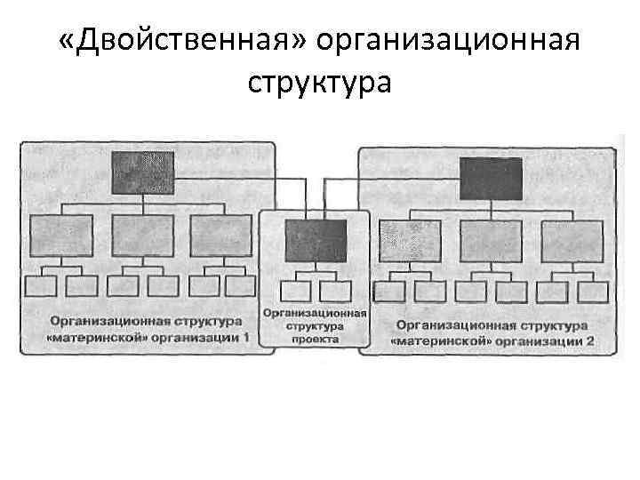  «Двойственная» организационная структура 