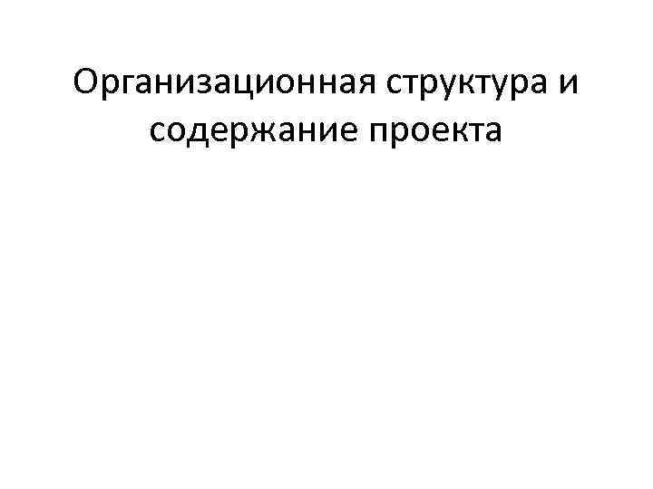 Организационная структура и содержание проекта 