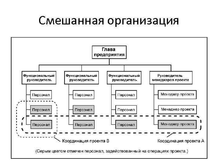 Смешанная организация 