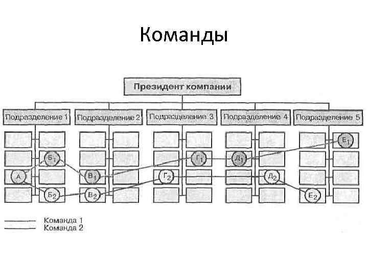 Комбинацией проектной и функциональной структур проектов является