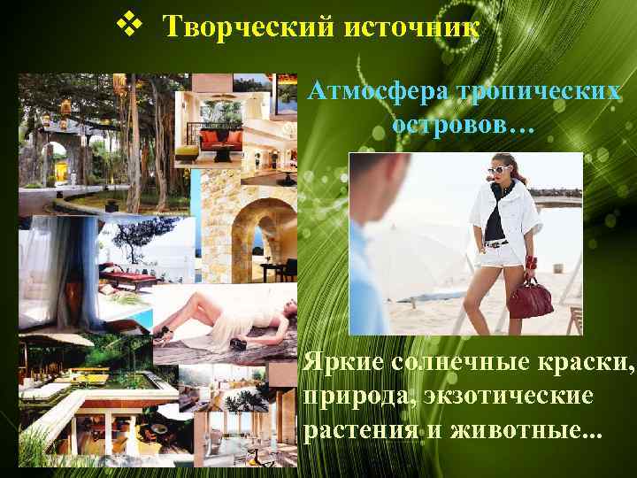 v Творческий источник Атмосфера тропических островов… Яркие солнечные краски, природа, экзотические растения и животные.