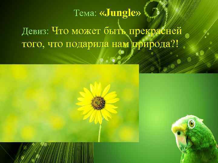 Тема: «Jungle» Девиз: Что может быть прекрасней того, что подарила нам природа? ! 