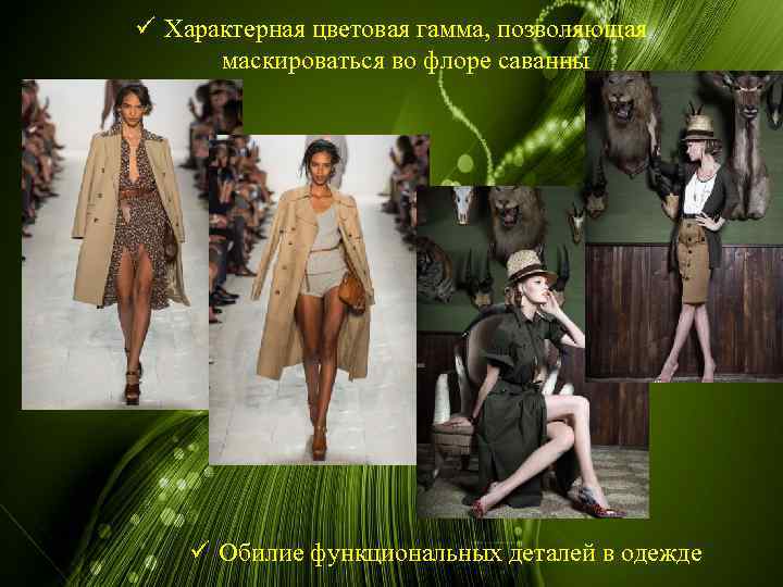 ü Характерная цветовая гамма, позволяющая маскироваться во флоре саванны ü Обилие функциональных деталей в