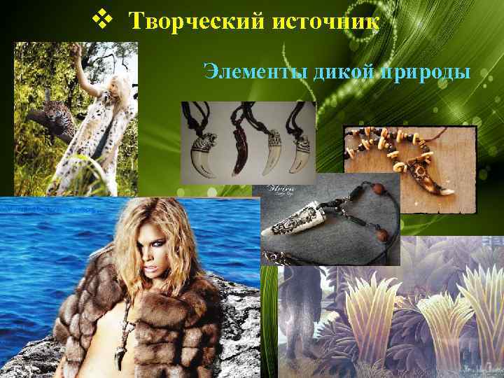 v Творческий источник Элементы дикой природы 