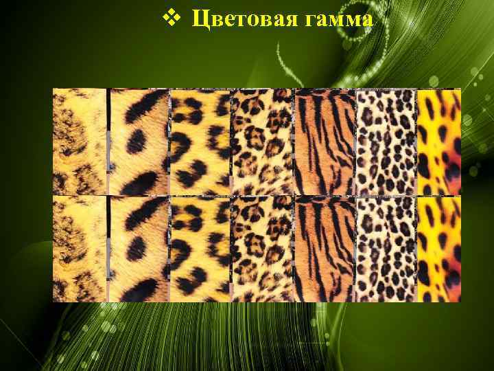 v Цветовая гамма 