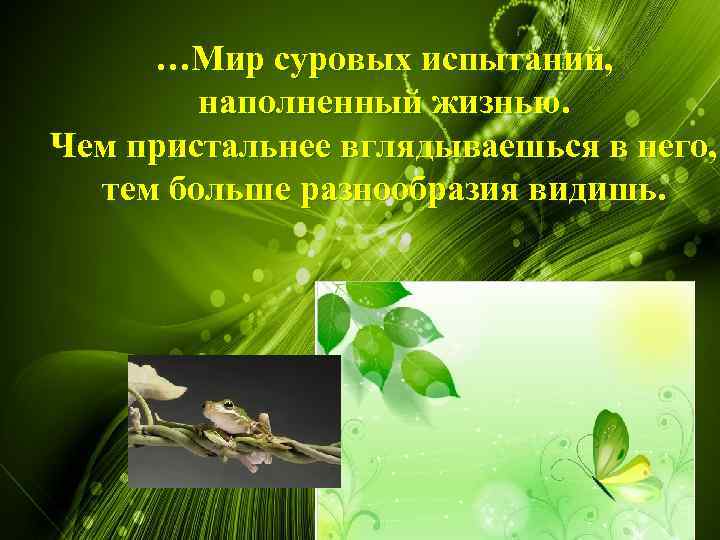 …Мир суровых испытаний, наполненный жизнью. Чем пристальнее вглядываешься в него, тем больше разнообразия видишь.