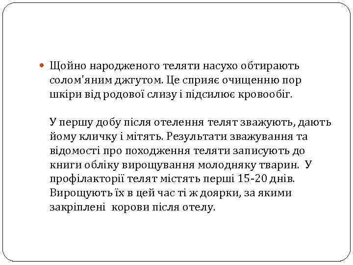 Щойно народженого теляти насухо обтирають солом'яним джгутом. Це сприяє очищенню пор шкіри від