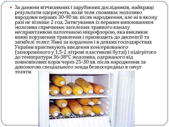  За даними вітчизняних і зарубіжних дослідників, найкращі результати одержують, коли теля споживає молозиво