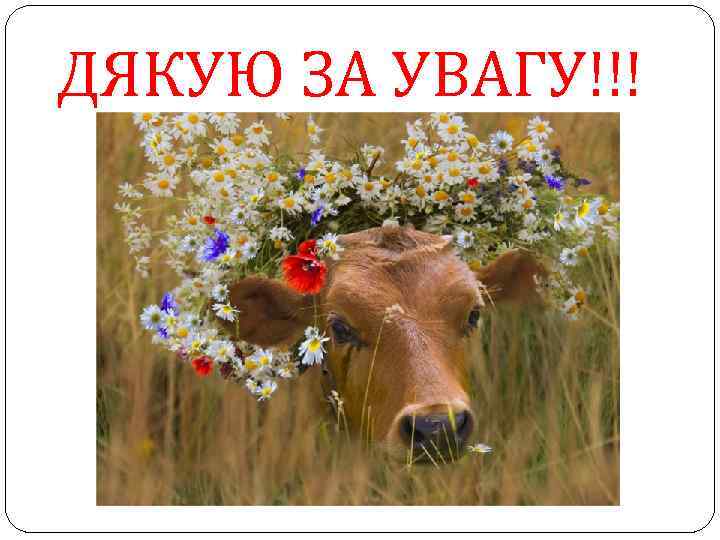 ДЯКУЮ ЗА УВАГУ!!! 
