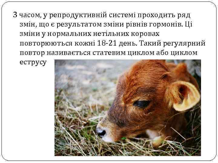 З часом, у репродуктивній системі проходить ряд змін, що є результатом зміни рівнів гормонів.
