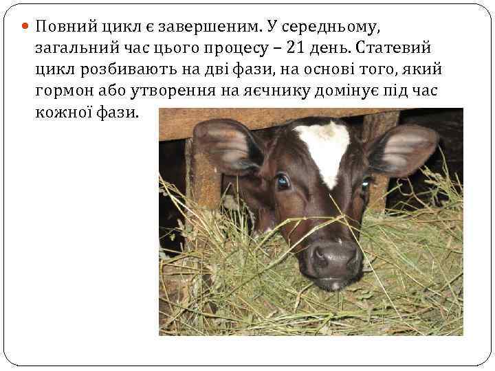  Повний цикл є завершеним. У середньому, загальний час цього процесу – 21 день.