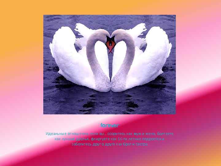 forever Идеальные отношения, если вы. . ссоритесь как муж и жена, болтаете как лучшие