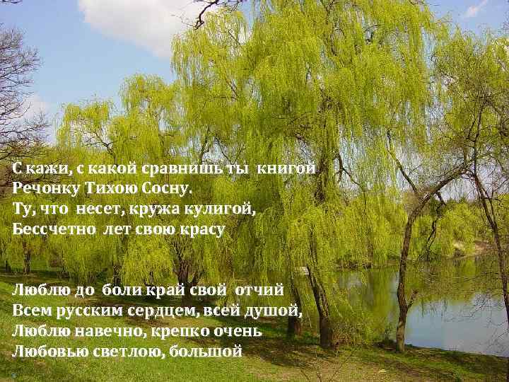 С кажи, с какой сравнишь ты книгой Речонку Тихою Сосну. Ту, что несет, кружа