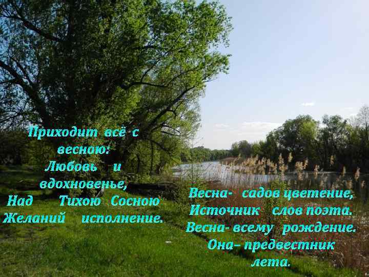 Приходит всё с весною: Любовь и вдохновенье, Над Тихою Сосною Желаний исполнение. Весна- садов