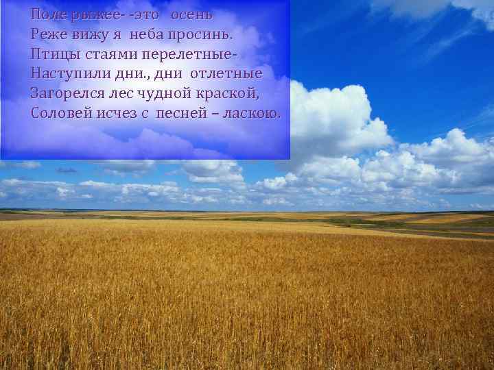 Поле рыжее- -это осень Реже вижу я неба просинь. Птицы стаями перелетные. Наступили дни.